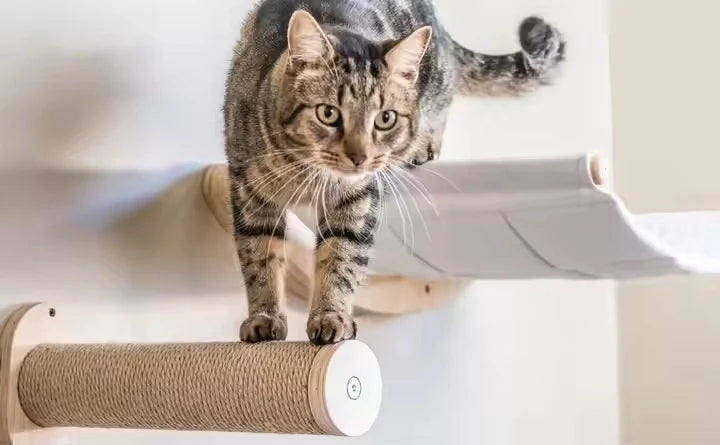 EcoPerch Bamboo Wall Shelf for Cats