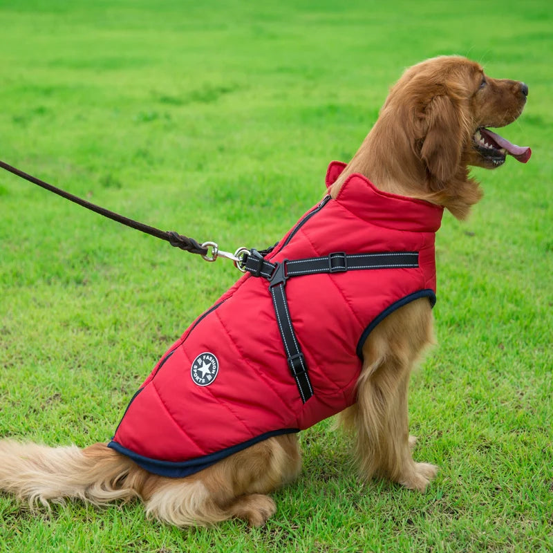 PawShield – Custom Waterproof Winter Dog Vest
