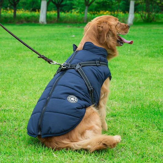 PawShield – Custom Waterproof Winter Dog Vest
