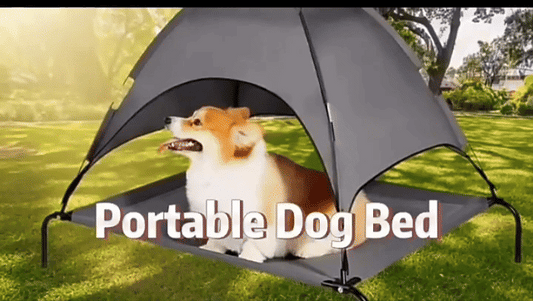 PawShade™ – Elevated Waterproof Portable Pet Bed with Canopy