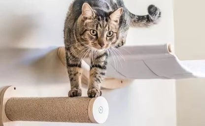 EcoPerch Bamboo Wall Shelf for Cats
