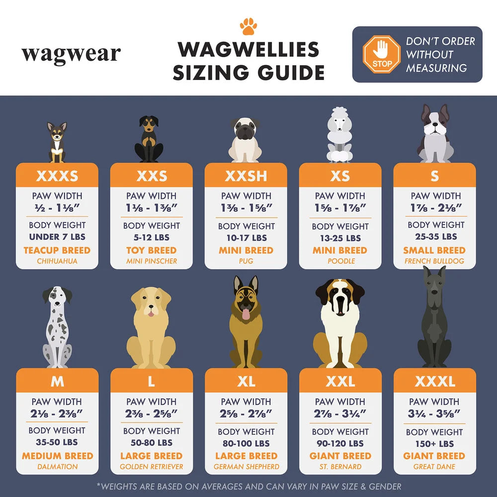 Dog Boots : Lightweight, breathable paw protection for sunny pavement & sandy trails