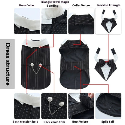 Pawfect Groom Luxury Pet Wedding Tuxedo