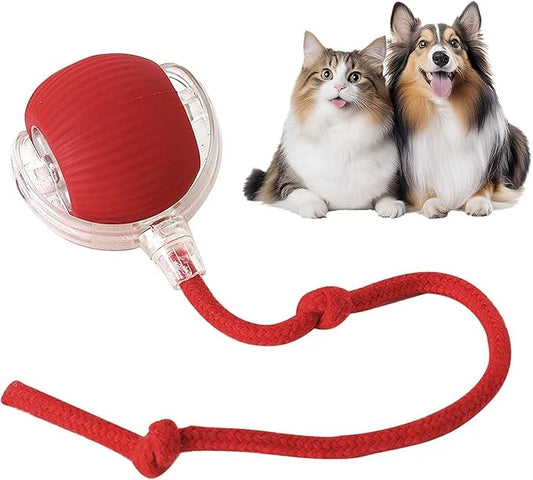 SmartChase™ Pet Toy Ball