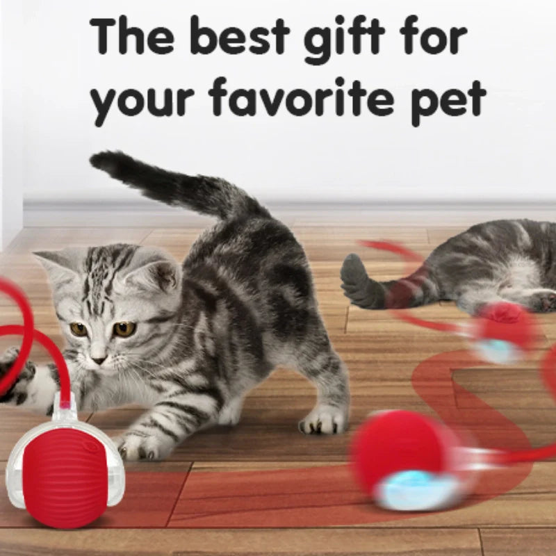 SmartChase™ Pet Toy Ball