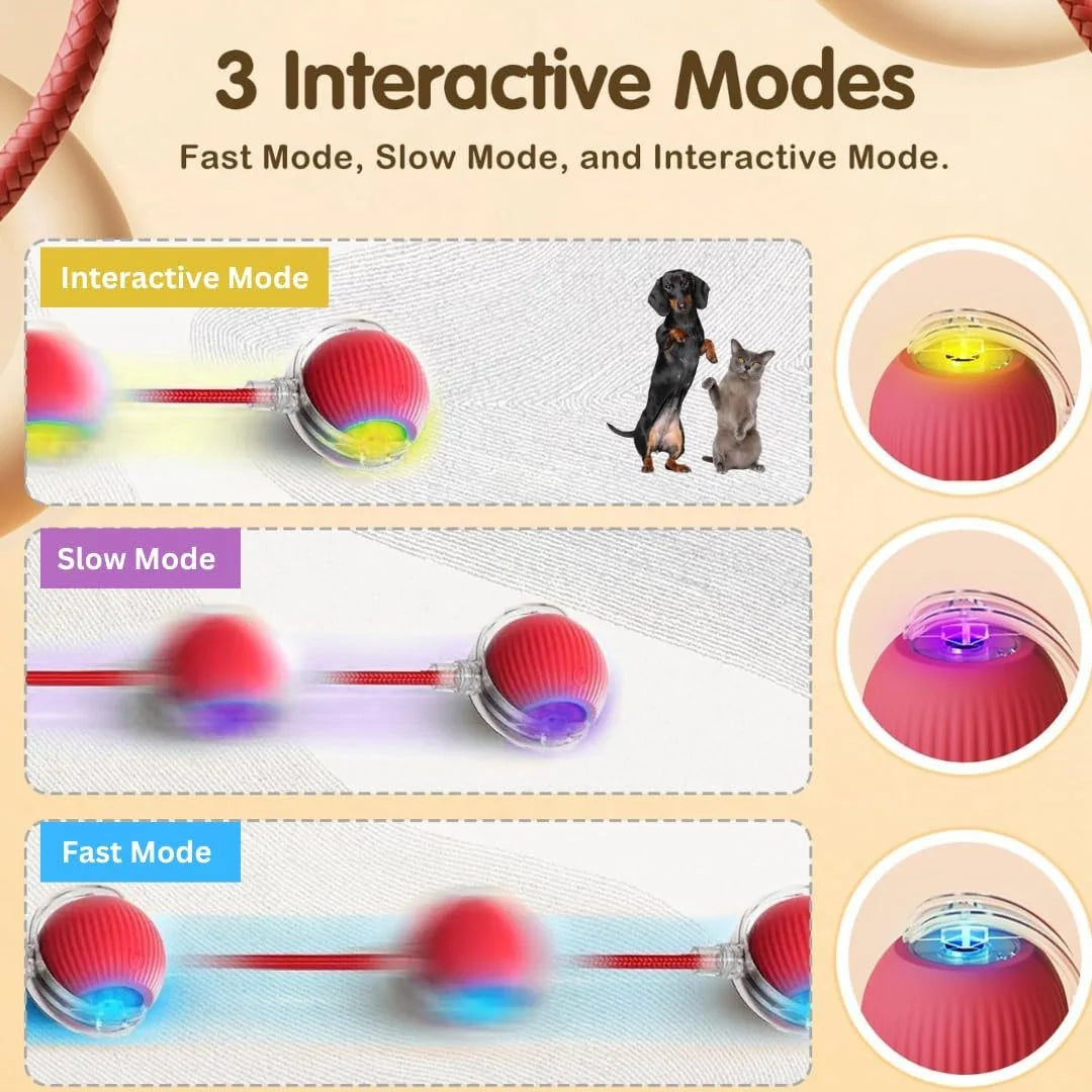 SmartChase™ Pet Toy Ball