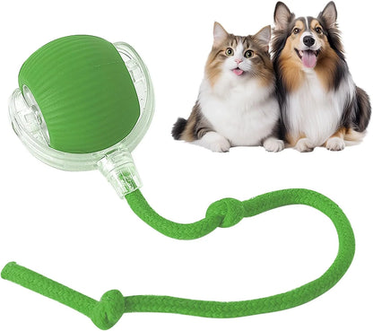 SmartChase™ Pet Toy Ball
