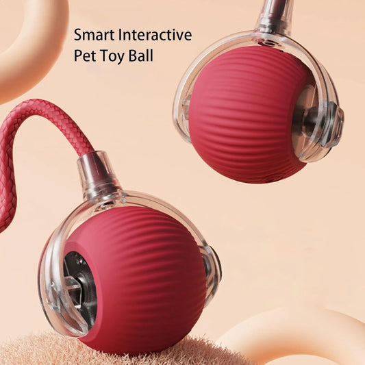 SmartChase™ Pet Toy Ball