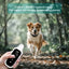 Smart Anti-Bark Dog Training Collar with Remote – Rechargeable & Waterproof