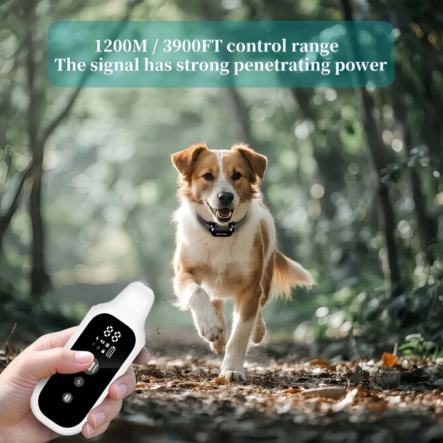 Smart Anti-Bark Dog Training Collar with Remote – Rechargeable & Waterproof