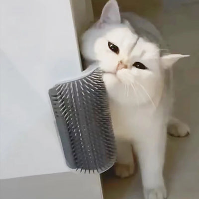 Self-Grooming Cat Brush Wall Corner – Soft Silicone Massager for Cats
