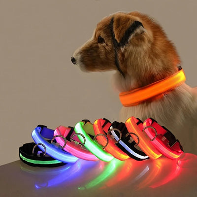 LED Safety Dog Collar – Rechargeable, Adjustable & Waterproof for Night Walks