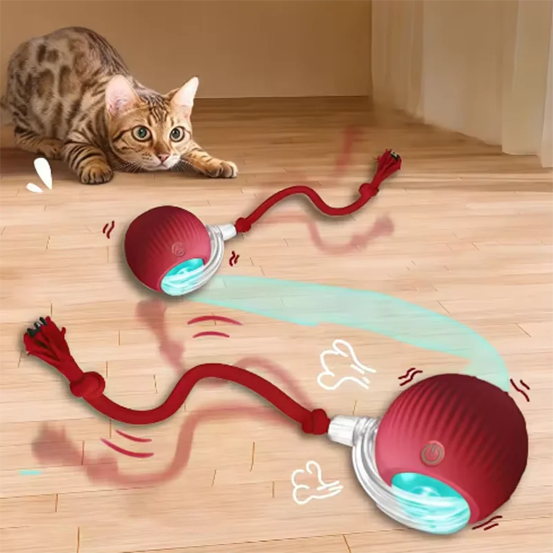 Smart Tail Motion Ball – Rechargeable Interactive Cat Toy for Indoor Fun & Hunting Instincts