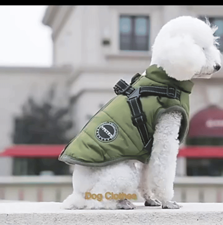 PawShield – Custom Waterproof Winter Dog Vest