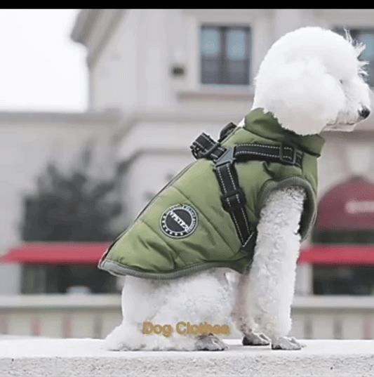 PawShield – Custom Waterproof Winter Dog Vest