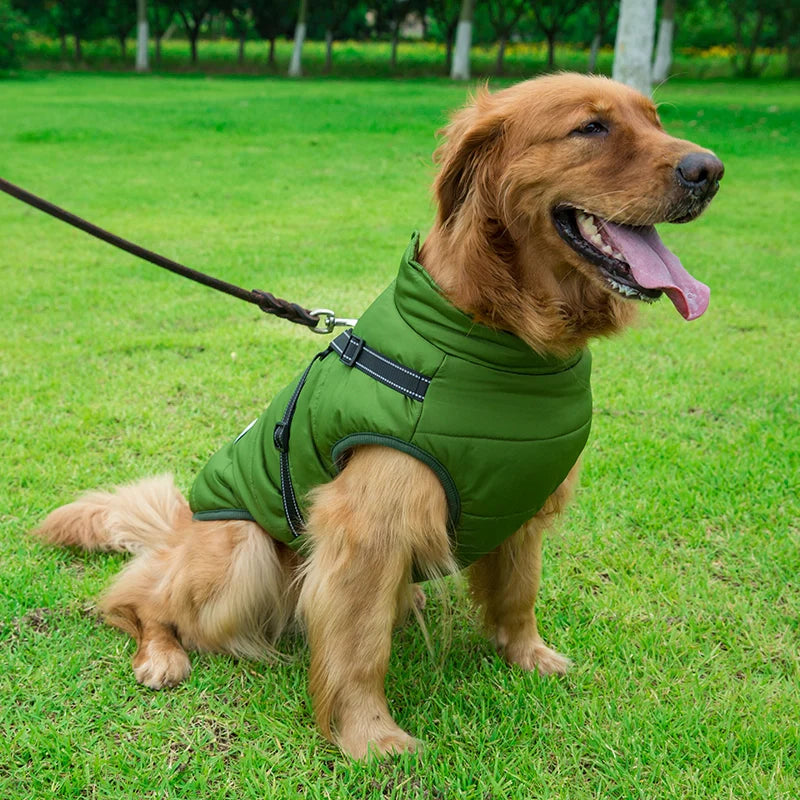 PawShield – Custom Waterproof Winter Dog Vest