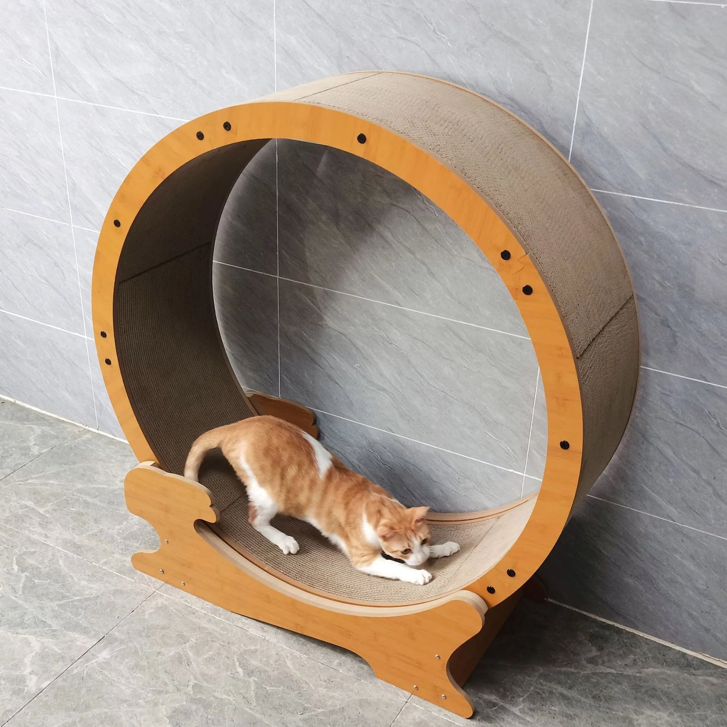 SpinTrack Wooden Cat Exercise Wheel